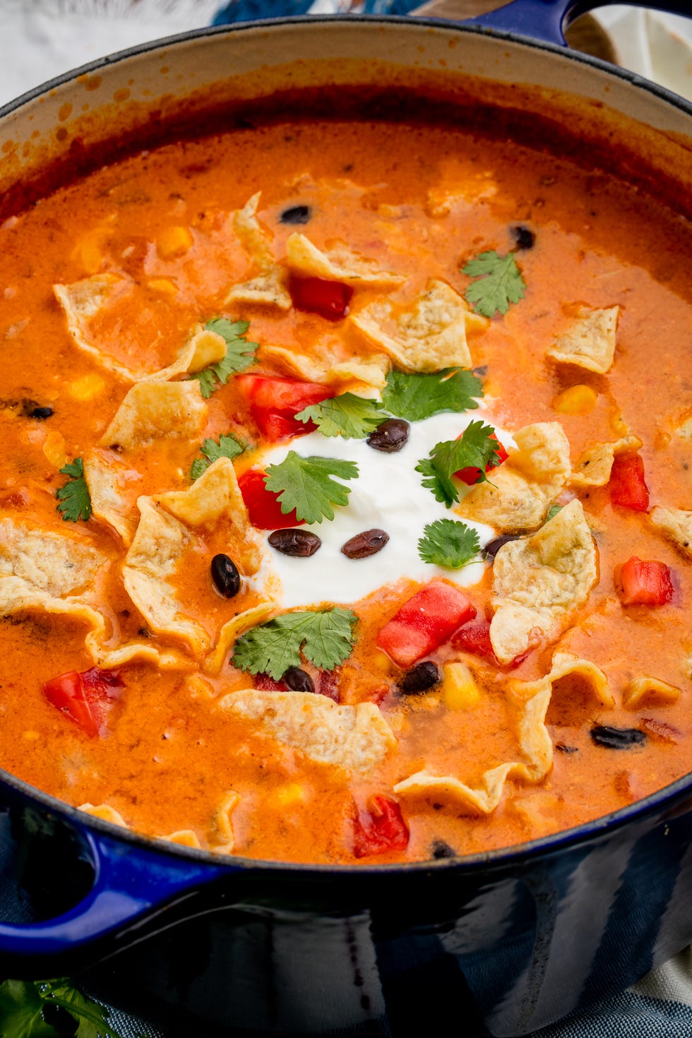 Nacho Soup Vertical