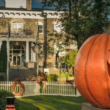 Calabaza, Squash, Vegetable, Produce, Jack-o'-lantern, Pumpkin, Winter squash, Garden, Real estate, Gourd, 
