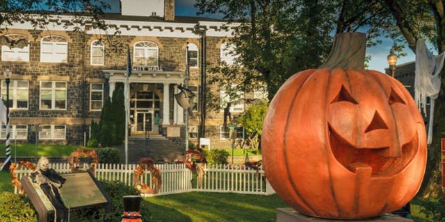 Calabaza, Squash, Vegetable, Produce, Jack-o'-lantern, Pumpkin, Winter squash, Garden, Real estate, Gourd, 