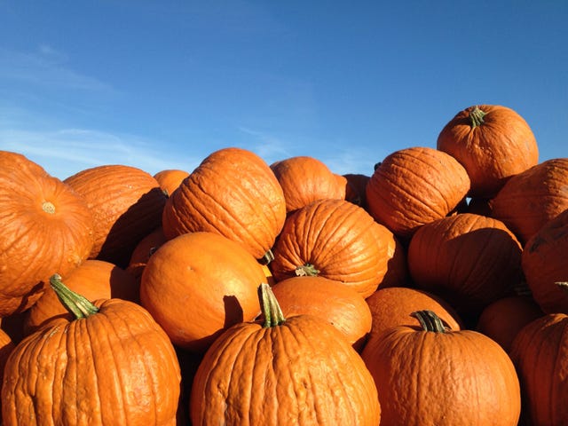 Squash, Vegetable, Natural foods, Orange, Local food, Vegan nutrition, Whole food, Produce, Calabaza, Pumpkin, 