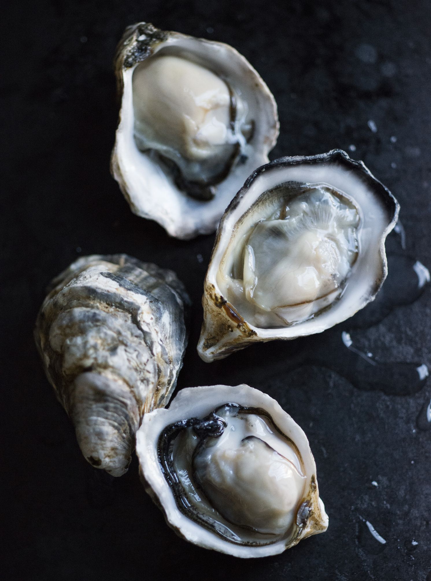  Oysters, Fresh oysters, Good  foods to eat