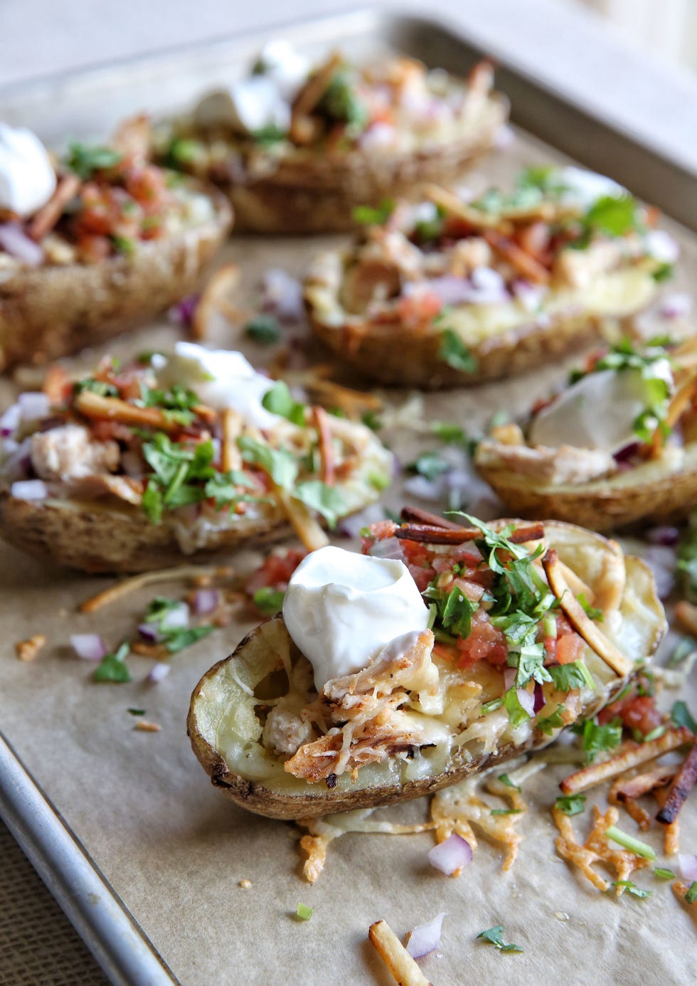 Tex-Mex Potato Skins Recipe