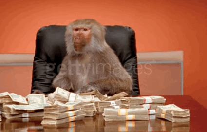 Organism, Skin, Photograph, Primate, Sitting, Adaptation, Publication, Terrestrial animal, Temple, Paper product, 
