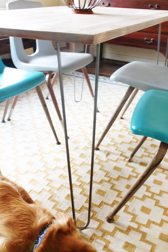 Floor, Brown, Flooring, Dog breed, Furniture, Dog, Carnivore, Table, Glass, Teal, 