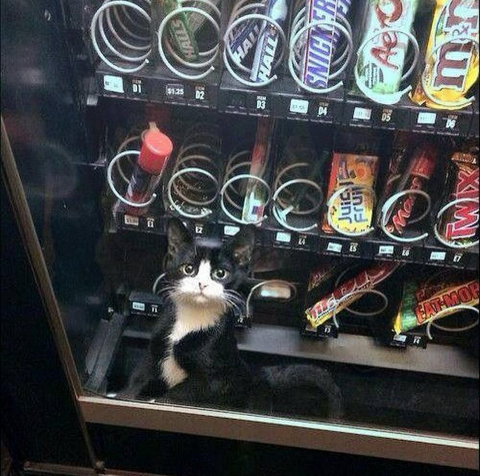 vending machine
