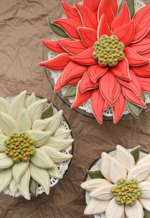 Petal, Yellow, Green, Flower, White, Red, Botany, Terrestrial plant, Aquatic plant, Peach, 