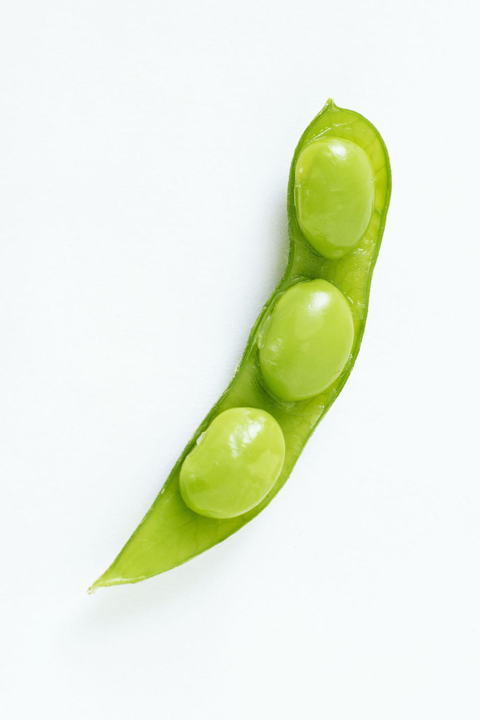 skin ingredient