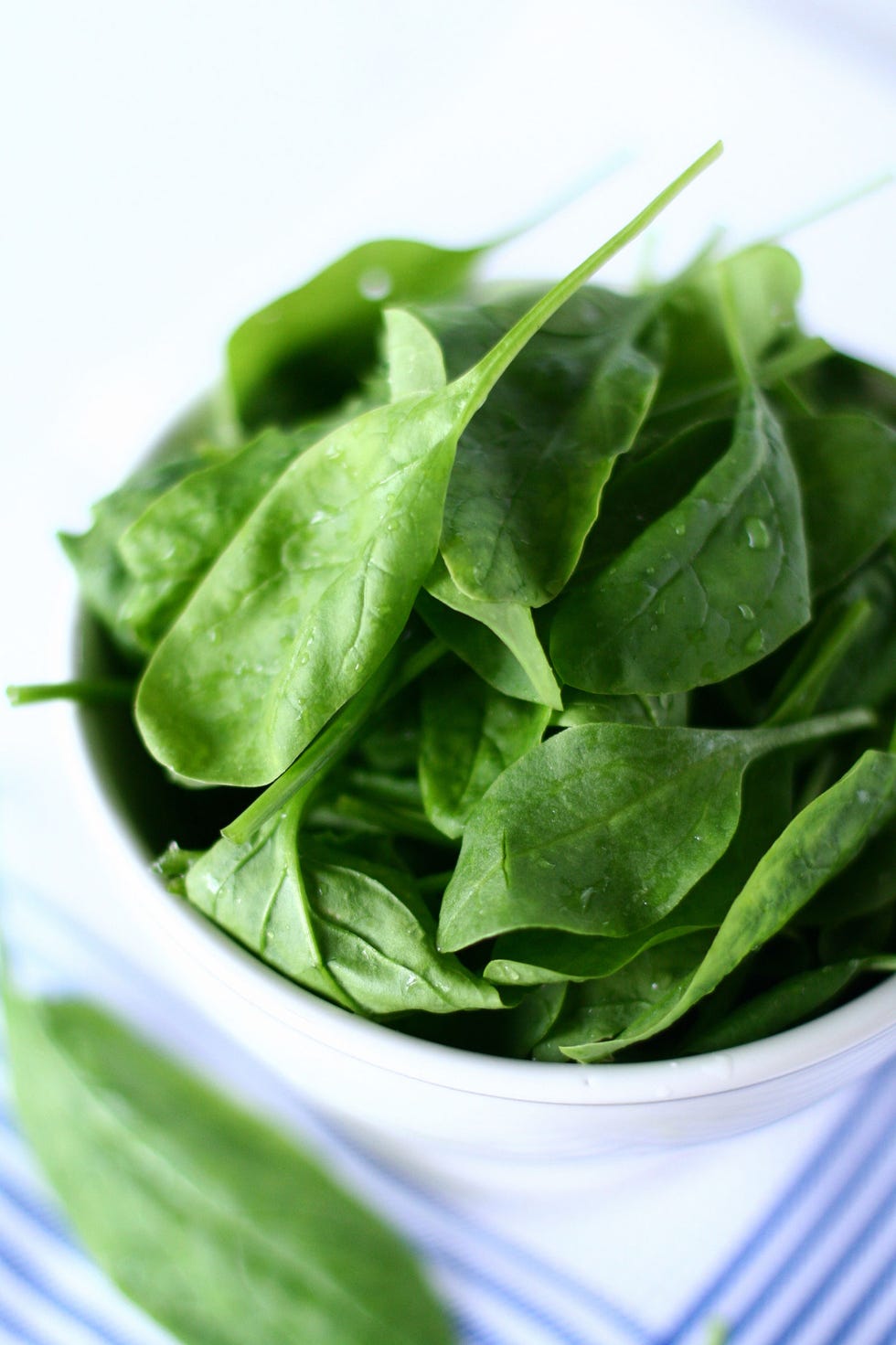 skin ingredients