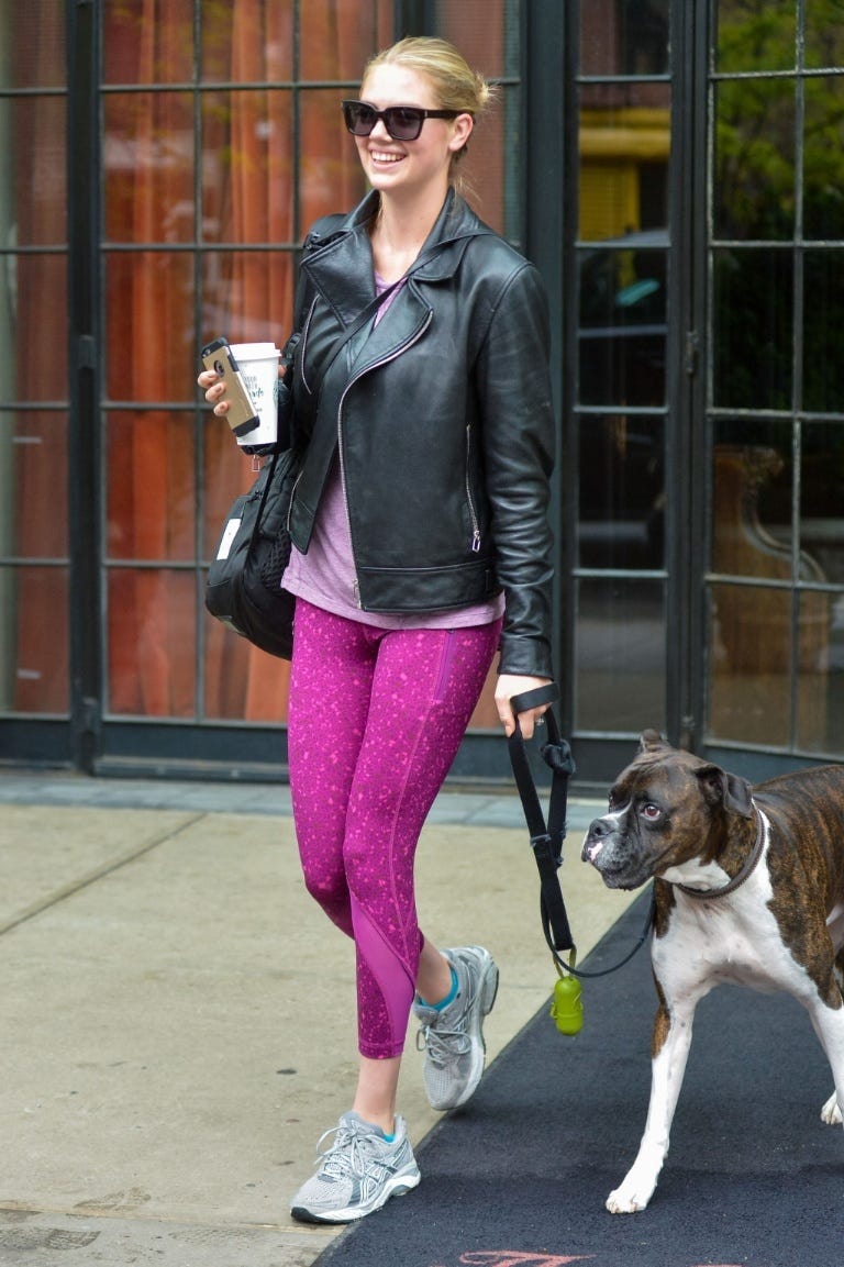 Clothing, Eyewear, Dog breed, Dog, Textile, Carnivore, Collar, Outerwear, Sunglasses, Mammal, 