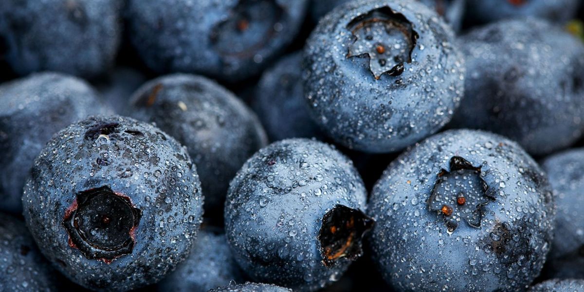 Brain-Healthy Foods That Can Prevent Alzheimer's