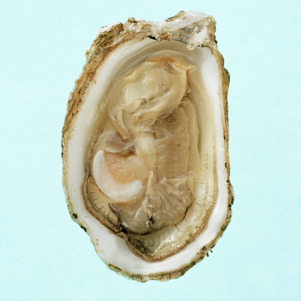 Bivalve, Ingredient, Close-up, Oyster, Macro photography, Seafood, Natural material, Shellfish, 