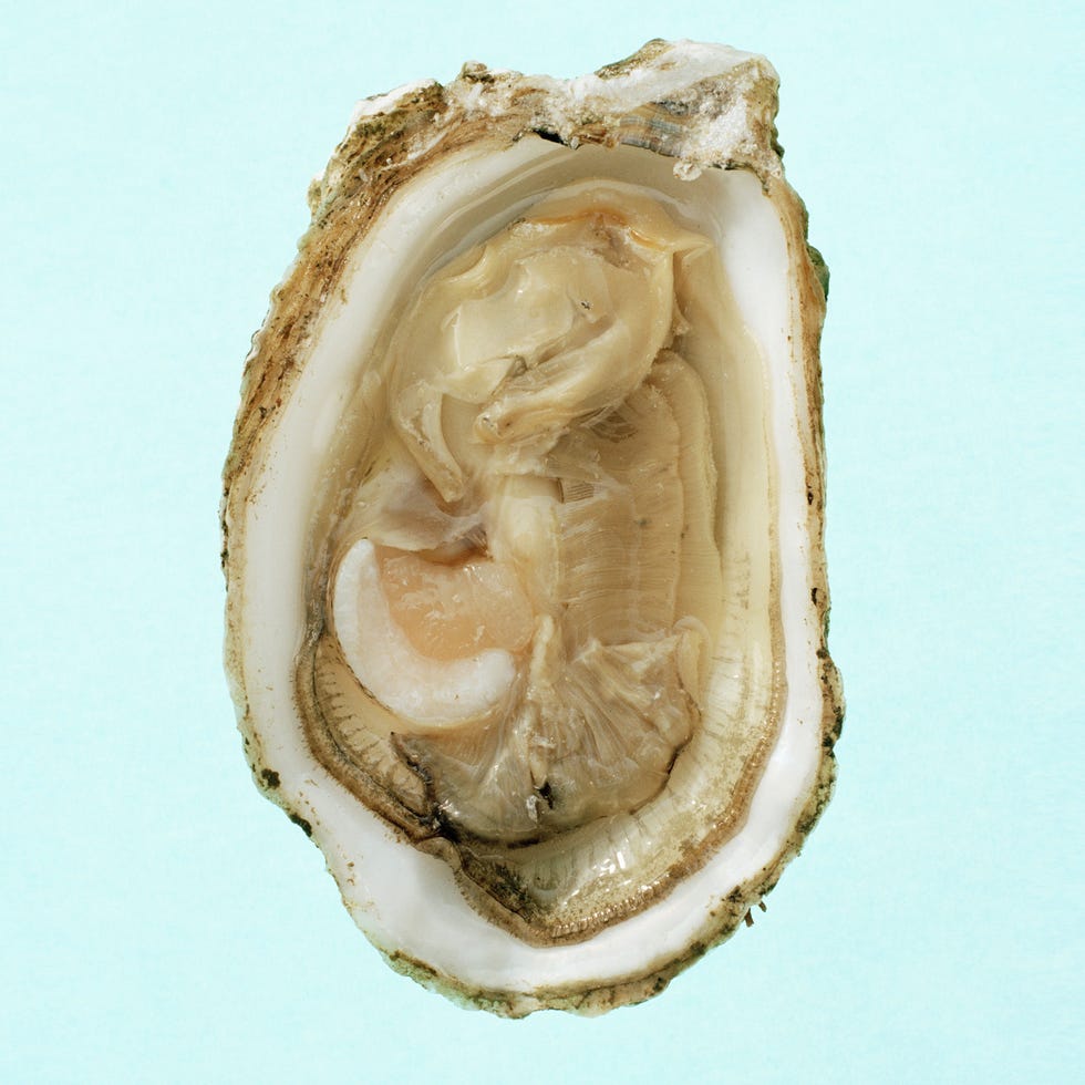 Bivalve, Ingredient, Close-up, Oyster, Macro photography, Seafood, Natural material, Shellfish, Bivalve, Ingredient, Close-up, Oyster, Macro photography, Seafood, Natural material, Shellfish,