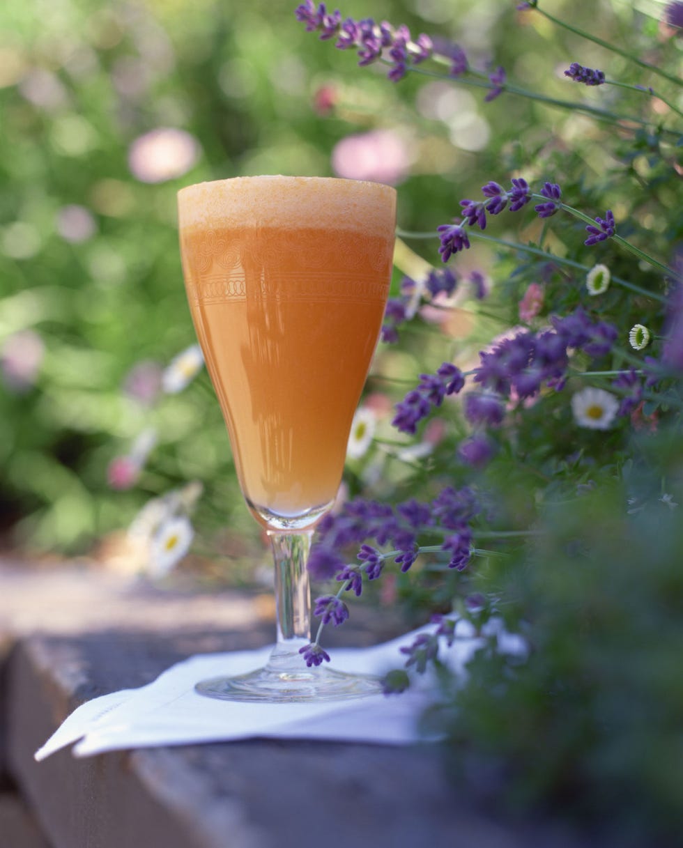 Drink, Cocktail, Wine glass, Stemware, Glass, Alcoholic beverage, Juice, Tableware, Drinkware, Lavender, 