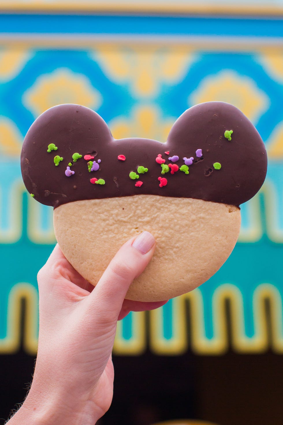 delish-disney-mickey-head-sugar-cookie