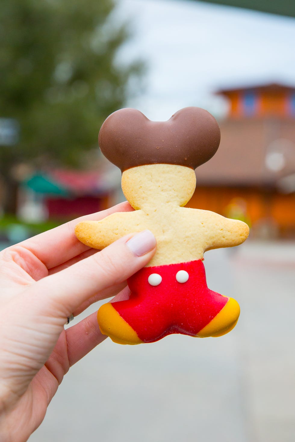 delish-disney-mickey-body-sugar-cookie