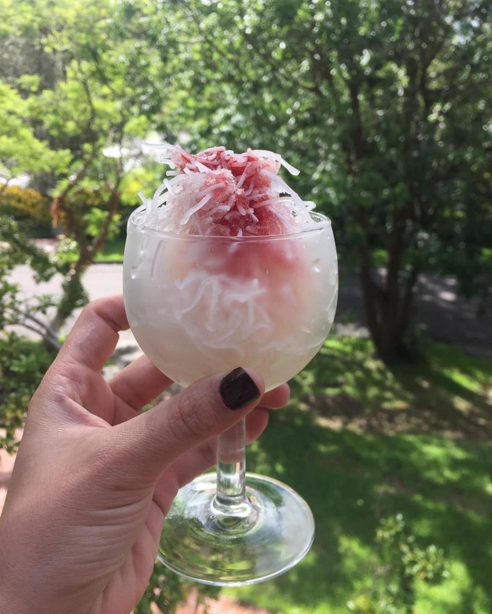 Food, Sorbet, Frozen dessert, Ice cream, Dessert, Kakigōri, Plant, Cuisine, Drink, Granita, 