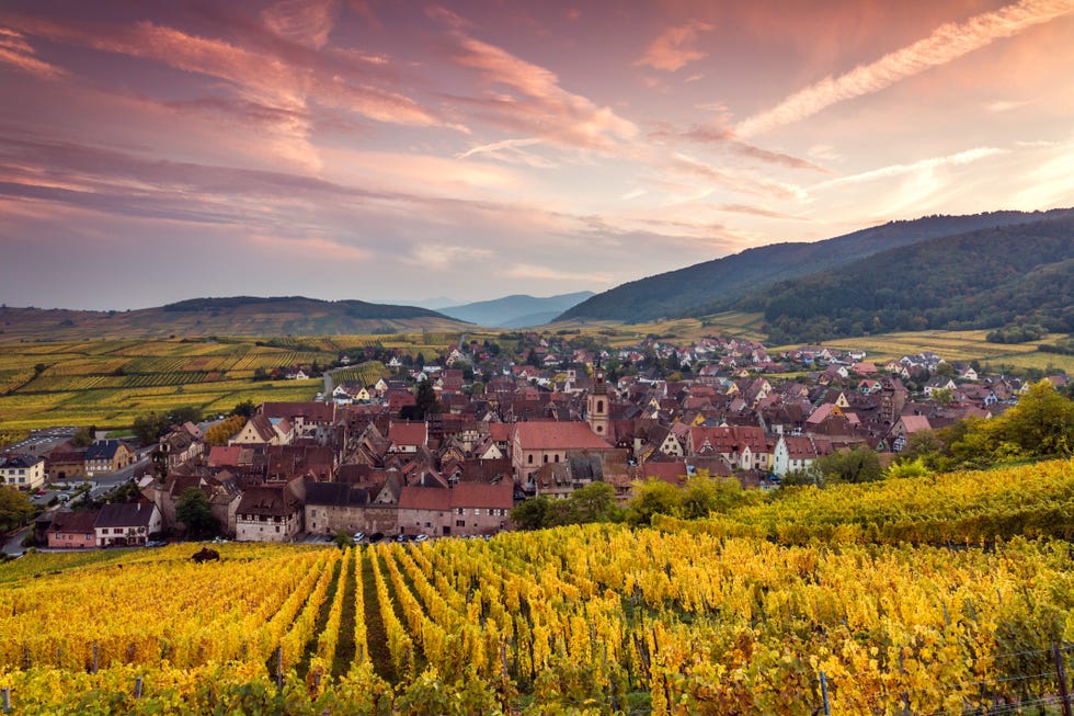 Mountainous landforms, Agriculture, Field, Landscape, Farm, Highland, Hill, Mountain range, Rural area, Plantation, 