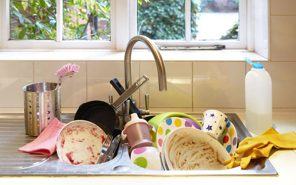 Dangerous Bacteria Lingers in Kitchen Dish Sponges