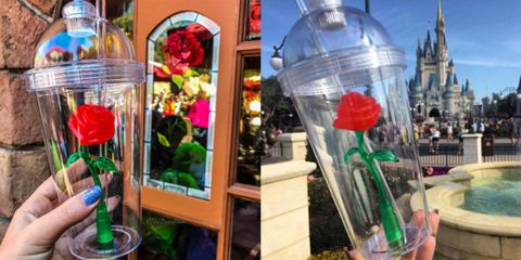 Enchanted Rose Cup at Disneyland
