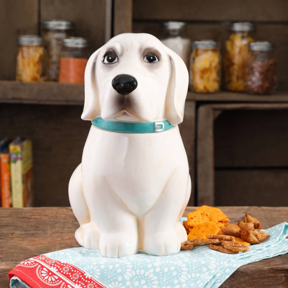 Dog, Canidae, Dog breed, Puppy, Companion dog, Sporting Group, Carnivore, Labrador retriever, Rare breed (dog), Beagle, 