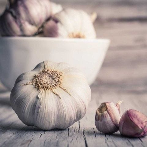 Garlic