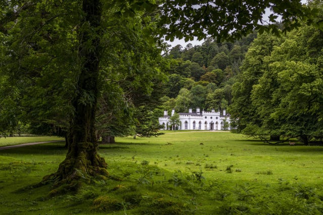 Green, Nature, Tree, Natural landscape, Estate, Vegetation, Grass, House, Lawn, Botany, 