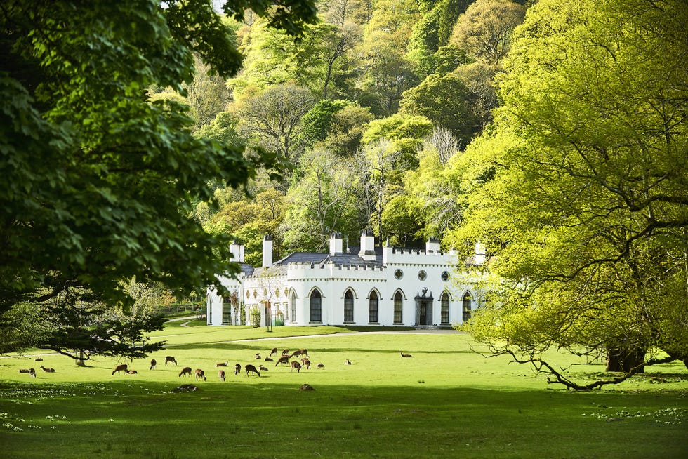 Nature, Green, Estate, Tree, Grass, Natural landscape, Lawn, House, Mansion, Château, 