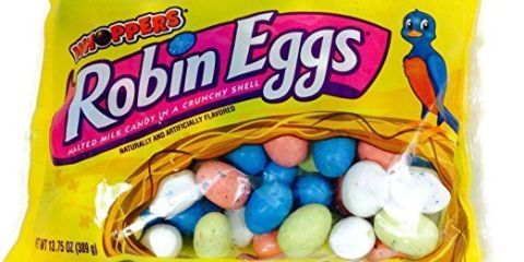 eating robin eggs