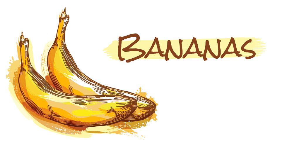 Amber, Fruit, Liquid, Natural foods, Banana family, Produce, Flowering plant, Graphics, Illustration, Drawing, 