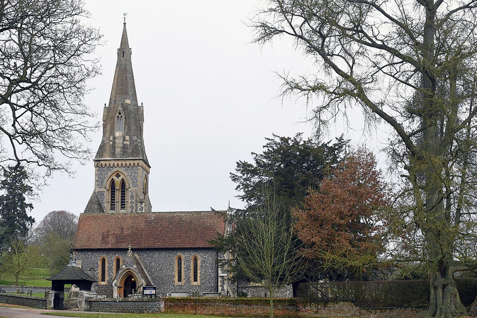 Branch, Tree, Church, Woody plant, Chapel, Steeple, Spire, Twig, Place of worship, Finial, 