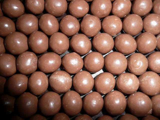 1Malteasers 1