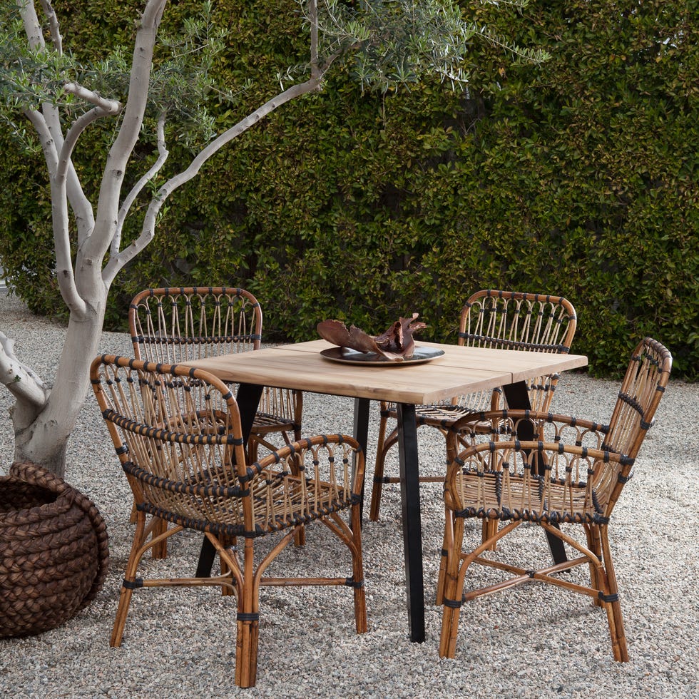 Furniture, Table, Chair, Outdoor table, Wicker, Outdoor furniture, Coffee table, Room, Tree, Kitchen & dining room table, 