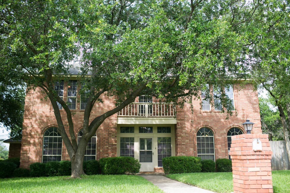 Property, House, Home, Tree, Building, Estate, Real estate, Architecture, Residential area, Woody plant, 