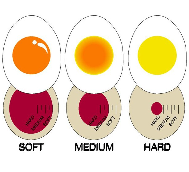 Egg Timer
