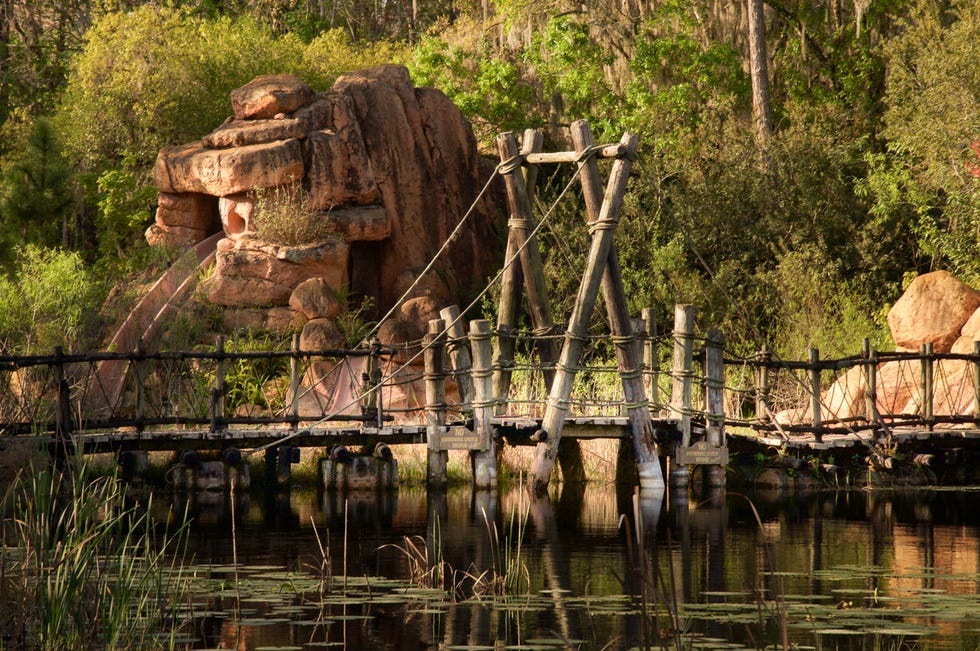 Wetland, Pond, Reflection, Bedrock, Outcrop, Bayou, Marsh, Bog, Bridge, Jungle, 