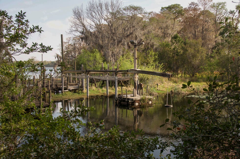 Natural landscape, Pond, Bank, Wetland, Reflection, Channel, Nature reserve, Bridge, Riparian zone, Lake, 