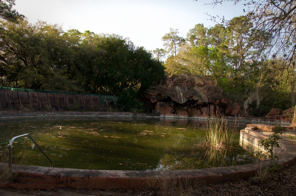 Nature, Natural landscape, Water, Pond, Bank, Tree, Landscape, Watercourse, Grass, Reflection, 