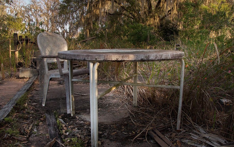 Furniture, Natural landscape, Nature reserve, Table, Tree, Botany, Leaf, Grass, Chair, Woodland, 