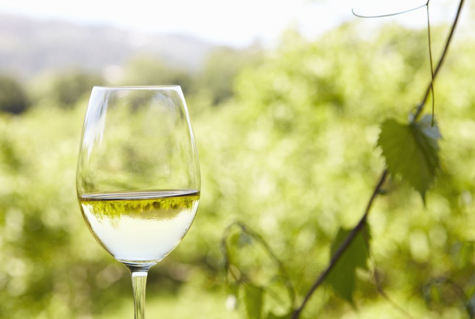 Weight Watchers Is Launching Its Own Wine