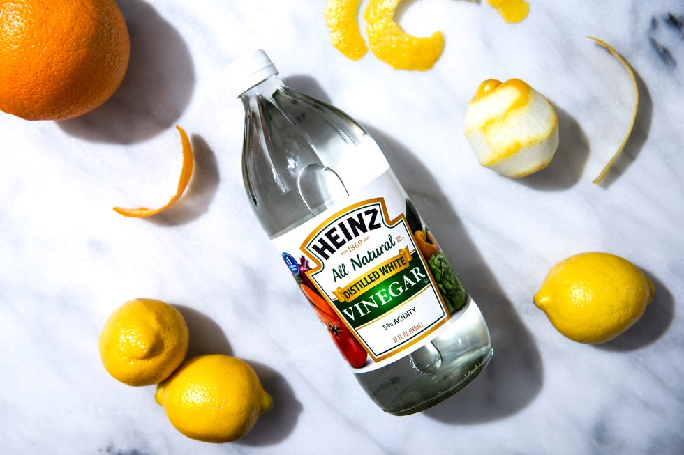 Citrus, Citric acid, Fruit, Lemon-lime, Meyer lemon, Orange, Bitter orange, Yuzu, Valencia orange, Plant, 