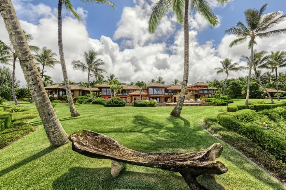Tree, Arecales, Garden, Woody plant, Botany, Resort, Tropics, Park, Plantation, Flowering plant, 