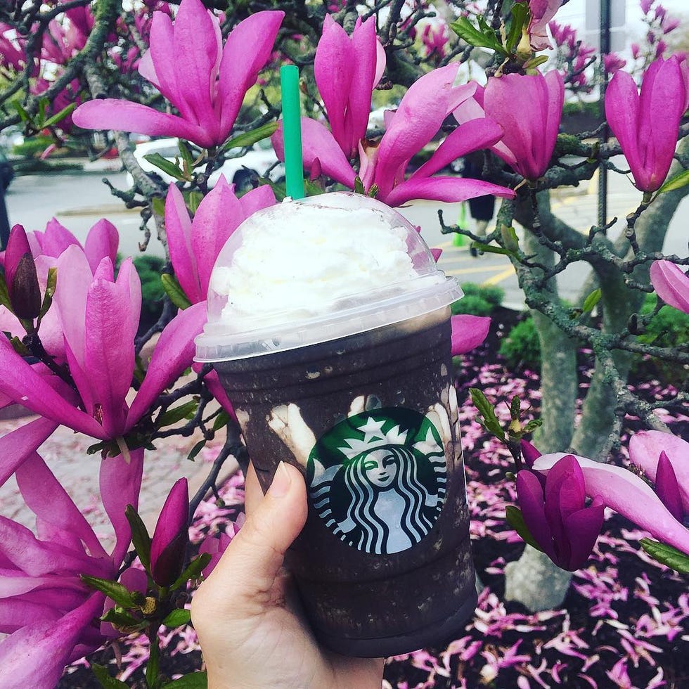 starbucks fraps