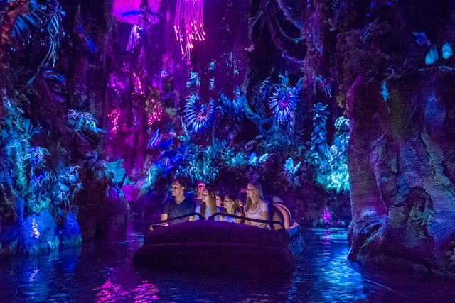 Water, Blue, Purple, Light, Lighting, Violet, Formation, Tree, Electric blue, Night, 