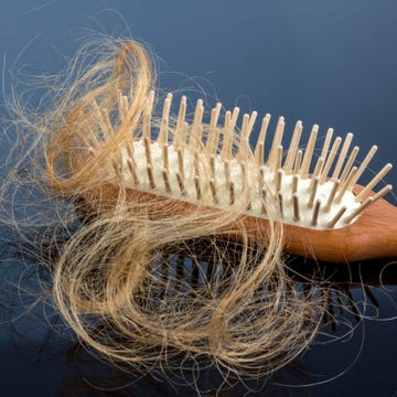 Organism, 