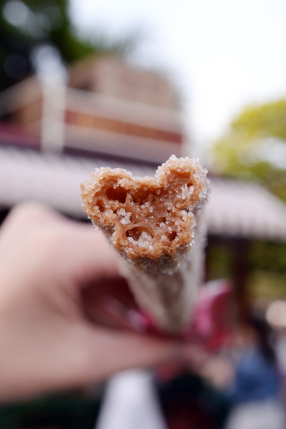 12-tokyodisney_mickey churro_still_3972