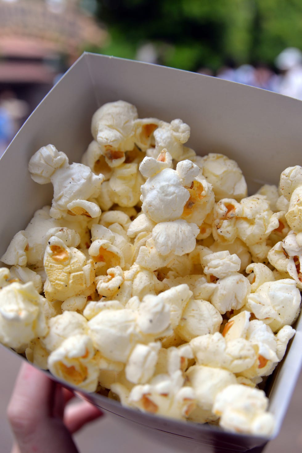 9-tokyodisney_popcorn_still_4237