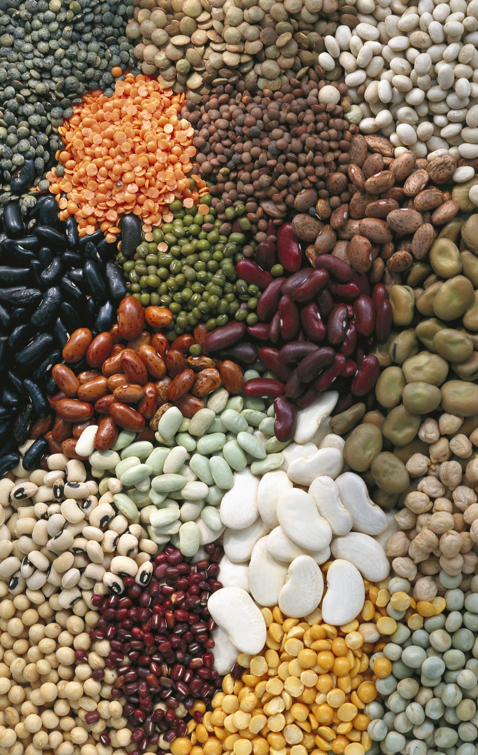Pebble, Rock, Food group, Natural foods, Gravel, Local food, Produce, Whole food, Rubble, Vegan nutrition, Pebble, Rock, Food group, Natural foods, Gravel, Local food, Produce, Whole food, Rubble, Vegan nutrition,