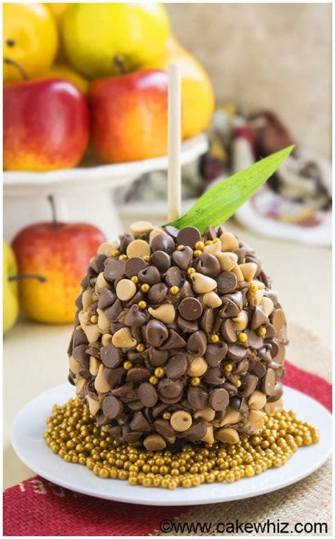 Food, Ingredient, Dish, Cuisine, Apple, Dessert, Fruit, Produce, Superfood, Plant, 
