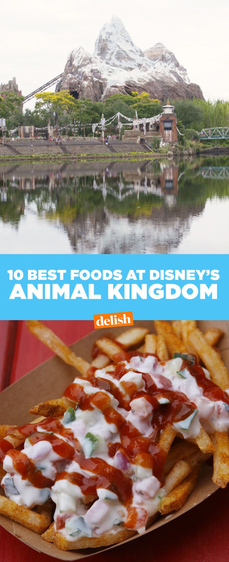 The 15 Most Delish Foods At Disney’s Animal Kingdom
