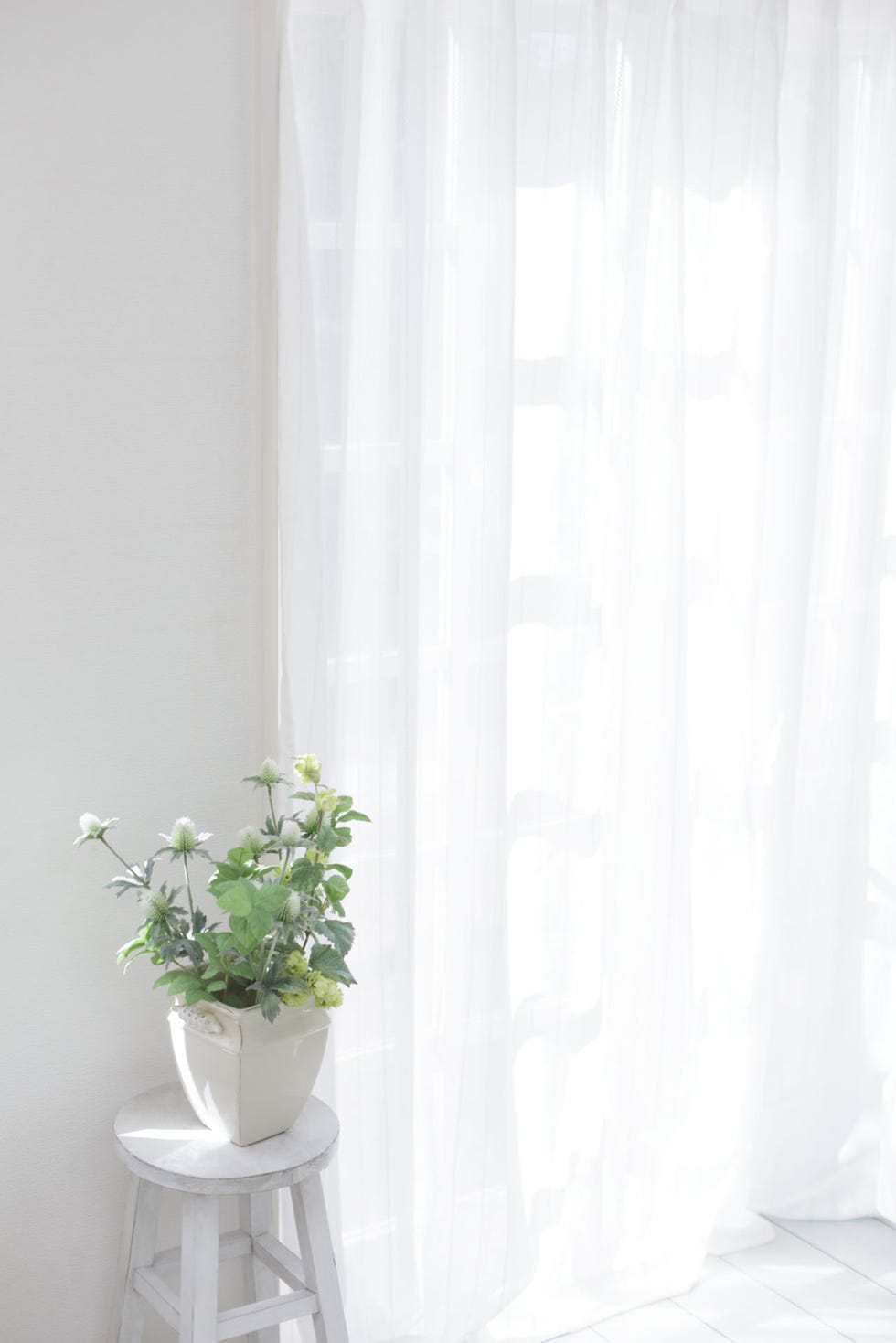 Interior design, Flowerpot, Interior design, Artifact, Plant stem, Vase, Still life photography, Window treatment, Houseplant, Transparent material, 